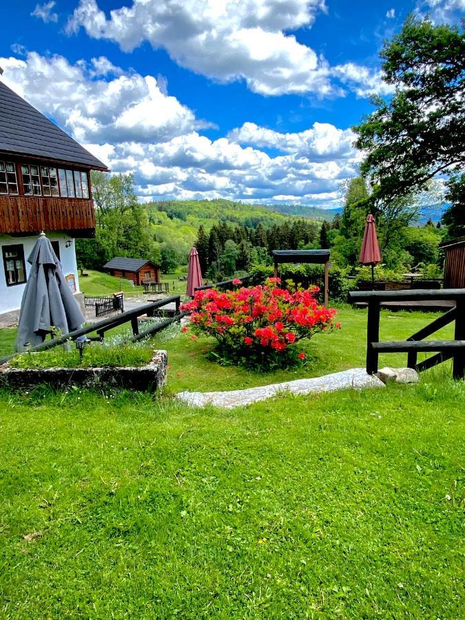 Wellness Hotel Florian Ceske Zleby Stozec Bagian luar foto