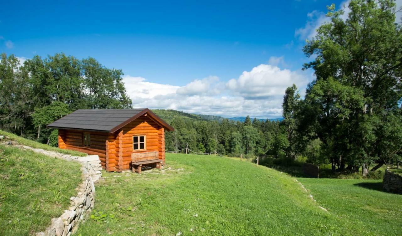 Wellness Hotel Florian Ceske Zleby Stozec Bagian luar foto